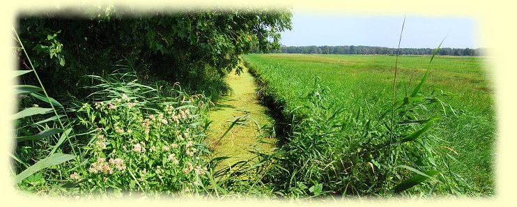 Usedom - Entwsserungsgrben