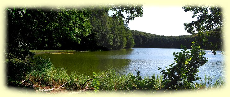 Krebssee zwischen Garz und Wolgastsee