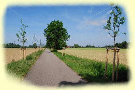 Xanten - Alleenradweg