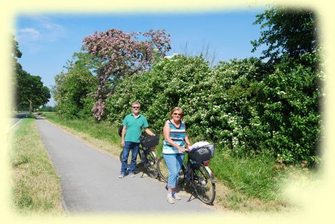 Strae zwischen Sonsbeck und  Winnekendock