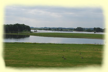 Rheinaue bei Wesel Marwik