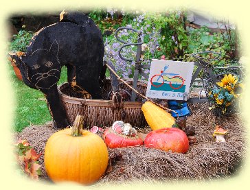 Strohballen mit Herbstlauf und der schwarzen Katz