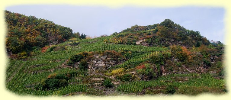 Weinberge