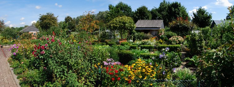 Garten August 2009