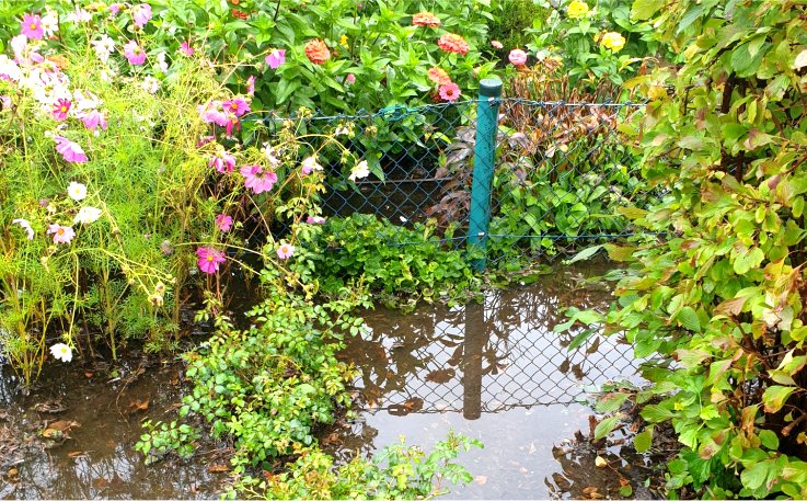 Hochwasser im Garten - 6. August 2023