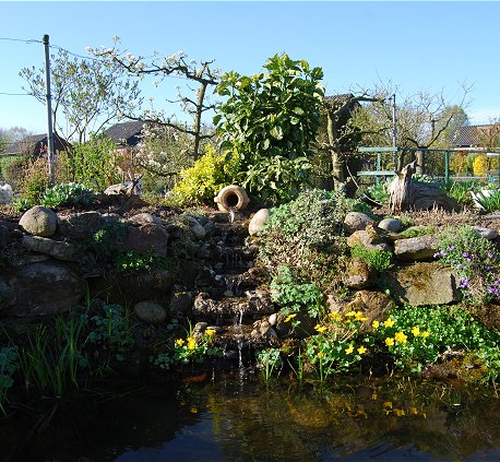 Wasserfall mit Sumpfdotterblume - 2