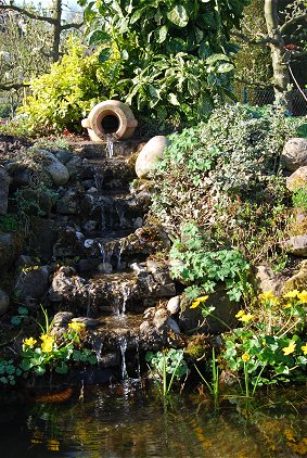 Wasserfall mit Sumpfdotterblume - April  2015 - 2