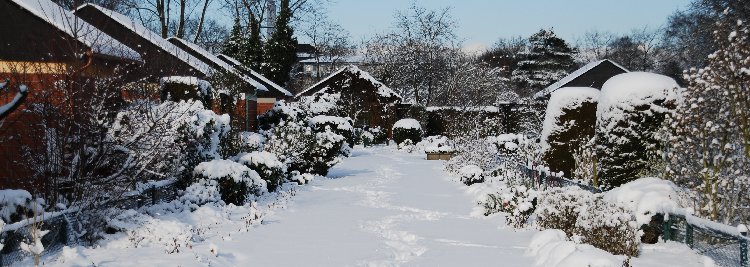 Spuren im Schnee