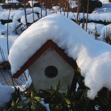 Vogelhuschen - 18. Jan. 2013 - 5