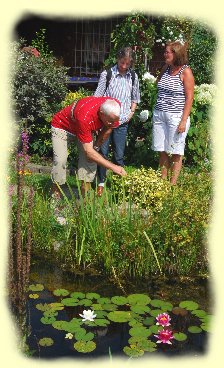 Besucher an Gartenteich - 16.08.09 - 2