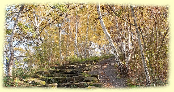 Halde Sachsen - Natursteintreppe