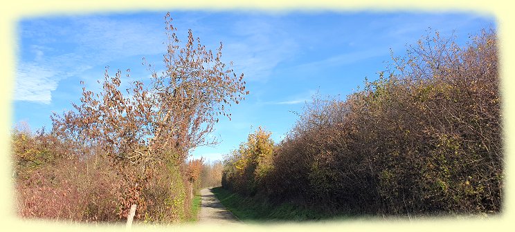 Halde Sachsen - Panorama-Halde