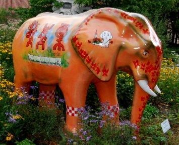 Elefant19