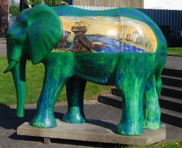 Elefant20
