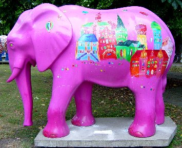 Elefant8