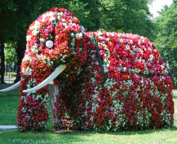 Elefant im Kurpark