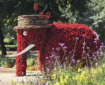 Elefant im Kurpark - Juni 2026
