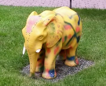 am Seniorenheim St. Stephanus - Elefant 2