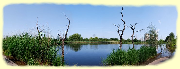 Naturschutzgebiet Tibaum