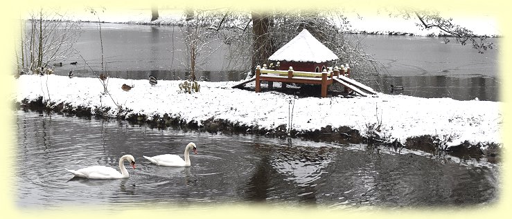 Kurparkteich_17._Jan._2021