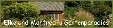 Banner 2