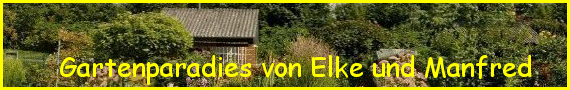 Banner 8