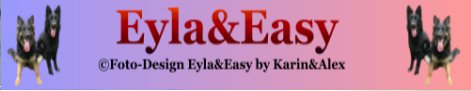 Eyla + Easy