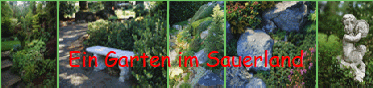 Bild1