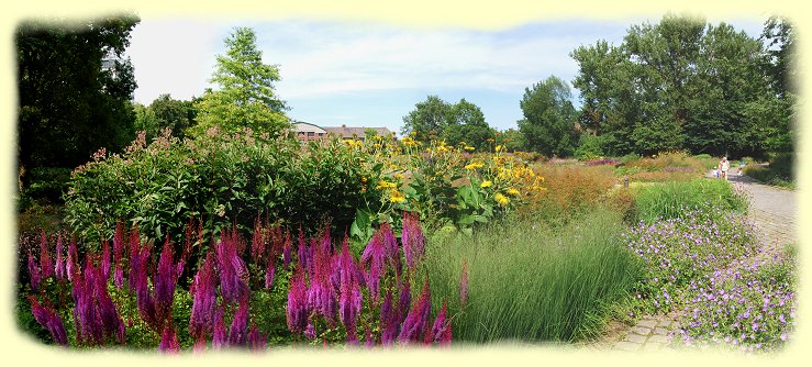 Stauden- und Grsergarten, angelegt von Gartenarchitekten Piet Oudolf