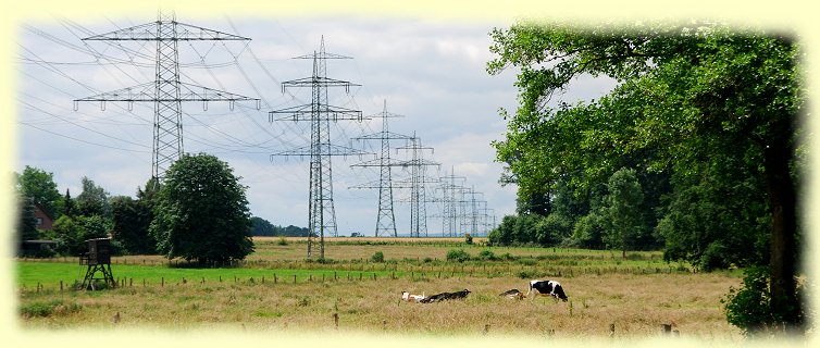 Landschaft neben dem Kraftwerk Westfalen