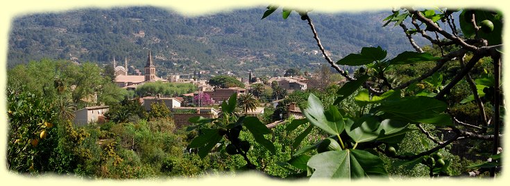 Soller - Garten von Mallorca