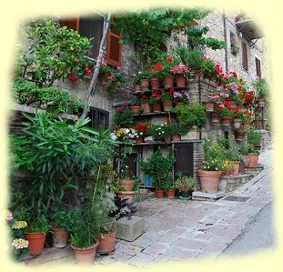 Assisi - blumengeschmckte Balkone