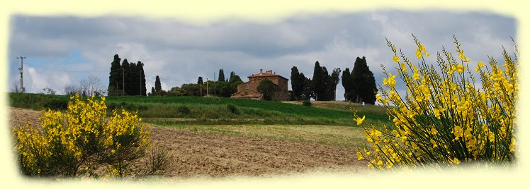 Landschaft zwischen Pienza und San Quirico dOrcia