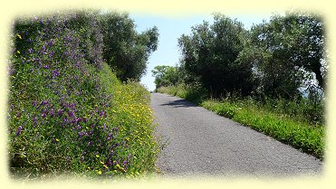 Buti - Panoramastrasse nach Buti 3