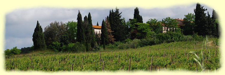 Chianti-Gebiet