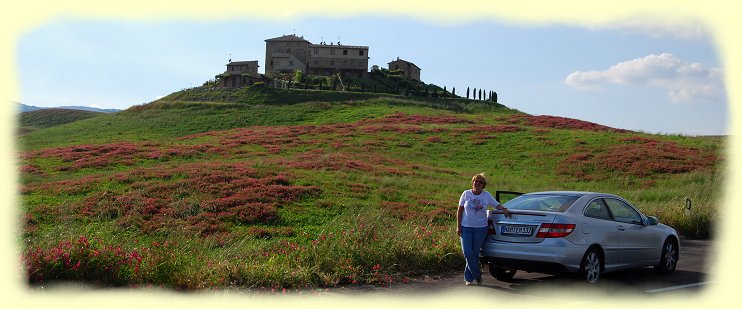 Fahrt nach Volterra -  frisch aufblhende Farbenpracht