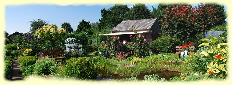 Gartenteich im Juni 2013