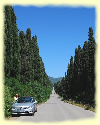 Zypressenallee bei Bolgheri in der Toskana Zypressenallee bei Bolgheri in der Toskana