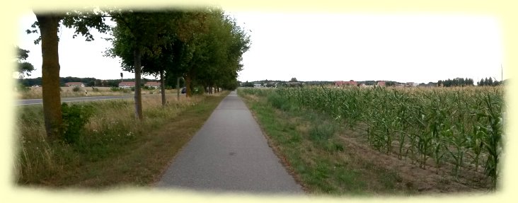 Usedom - Radweg