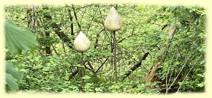 Bad Fallingbostel - Skulptur - Knospen