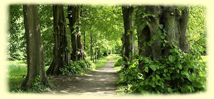Breidings Garten - Baumarten
