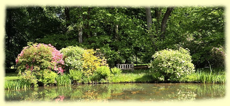 Breidings Garten - Rhododendren
