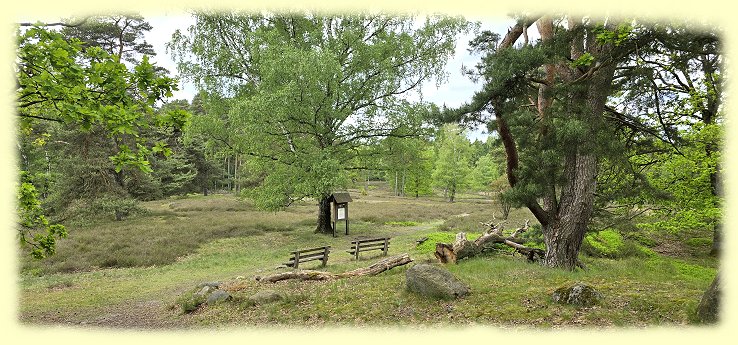Tietlinger-Heide