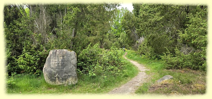 Tietlinger-Heide - 1