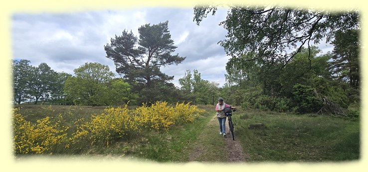 Tietlinger-Heide - 2