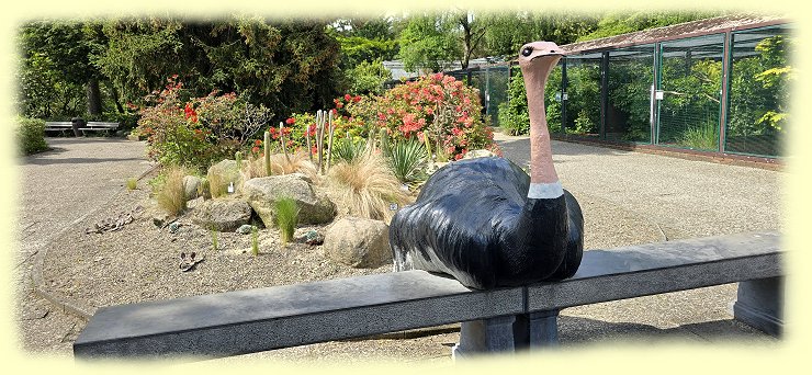 Weltvogelpark - Deko-Strau�enfigur