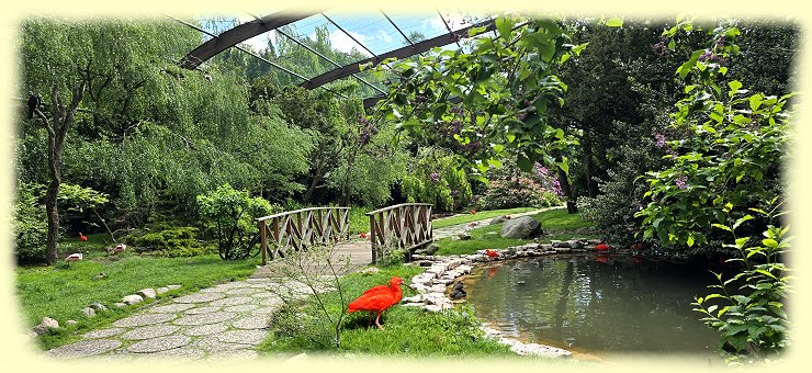 Weltvogelpark - Freiflughalle