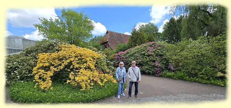 Weltvogelpark - Rhododendren