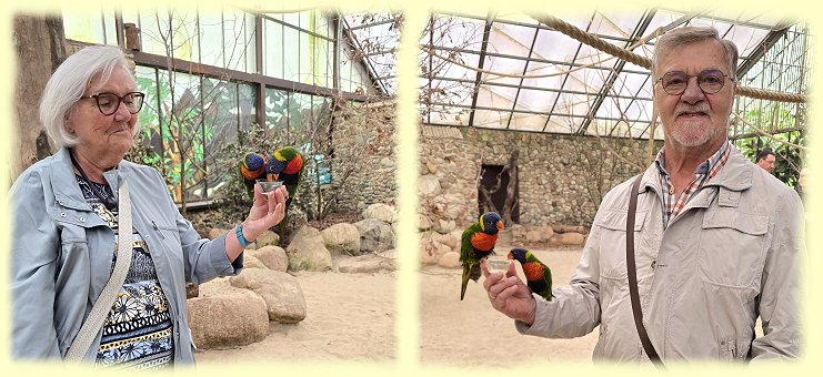 Weltvogelpark - Welliparadies